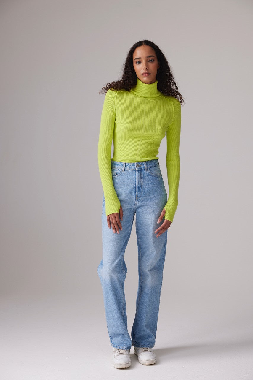 CRUSH Diana Skinny Roll Neck - Zesty