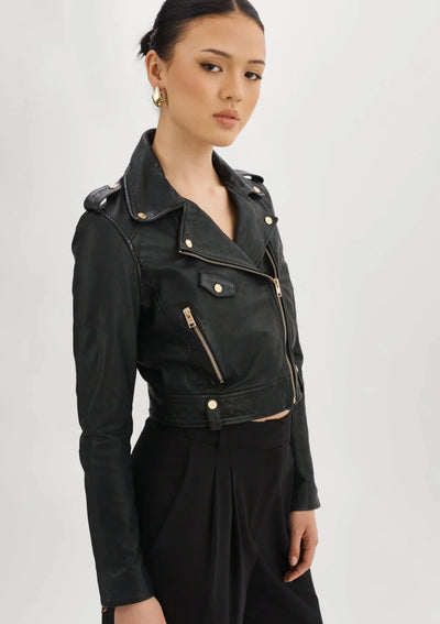 Lamarque Ciara Leather Biker Jacket w/ Gold Hardware - Black