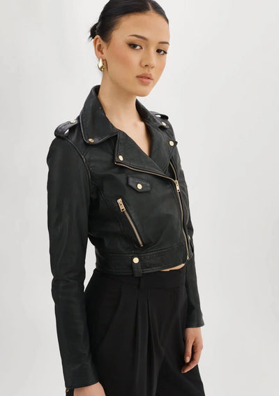 Lamarque Ciara Leather Biker Jacket w/ Gold Hardware - Black