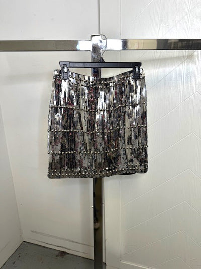 The Pink Door Pull on Sequin Skirt Silver